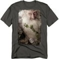 thumbnail image 1 of The Hobbit T-Shirt Balin Unisex Graphic Tee For Men & Women Charcoal, 1 of 7