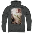 thumbnail image 1 of The Hobbit - Balin - Pull-Over Hoodie - Medium, 1 of 2