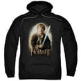 thumbnail image 1 of The Hobbit - Bilbo And Sting - Pull-Over Hoodie - XXXX-Large, 1 of 2