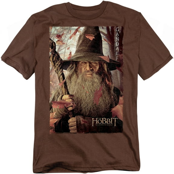 The Hobbit T-Shirt Gadalf Poster Unisex Graphic Tee For Men & Women