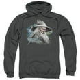 thumbnail image 1 of The Hobbit - Gandalf The Grey - Pull-Over Hoodie - Large, 1 of 2