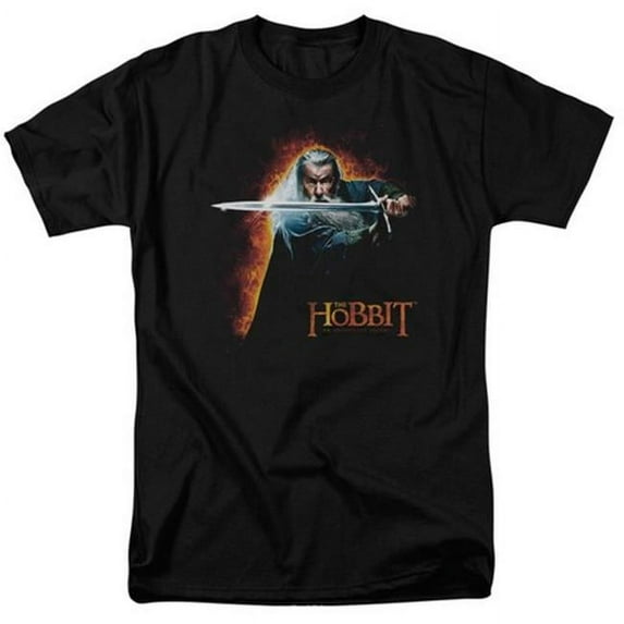 The Hobbit-Secret Fire Short Sleeve Adult 18-1 Tee- Black - XL
