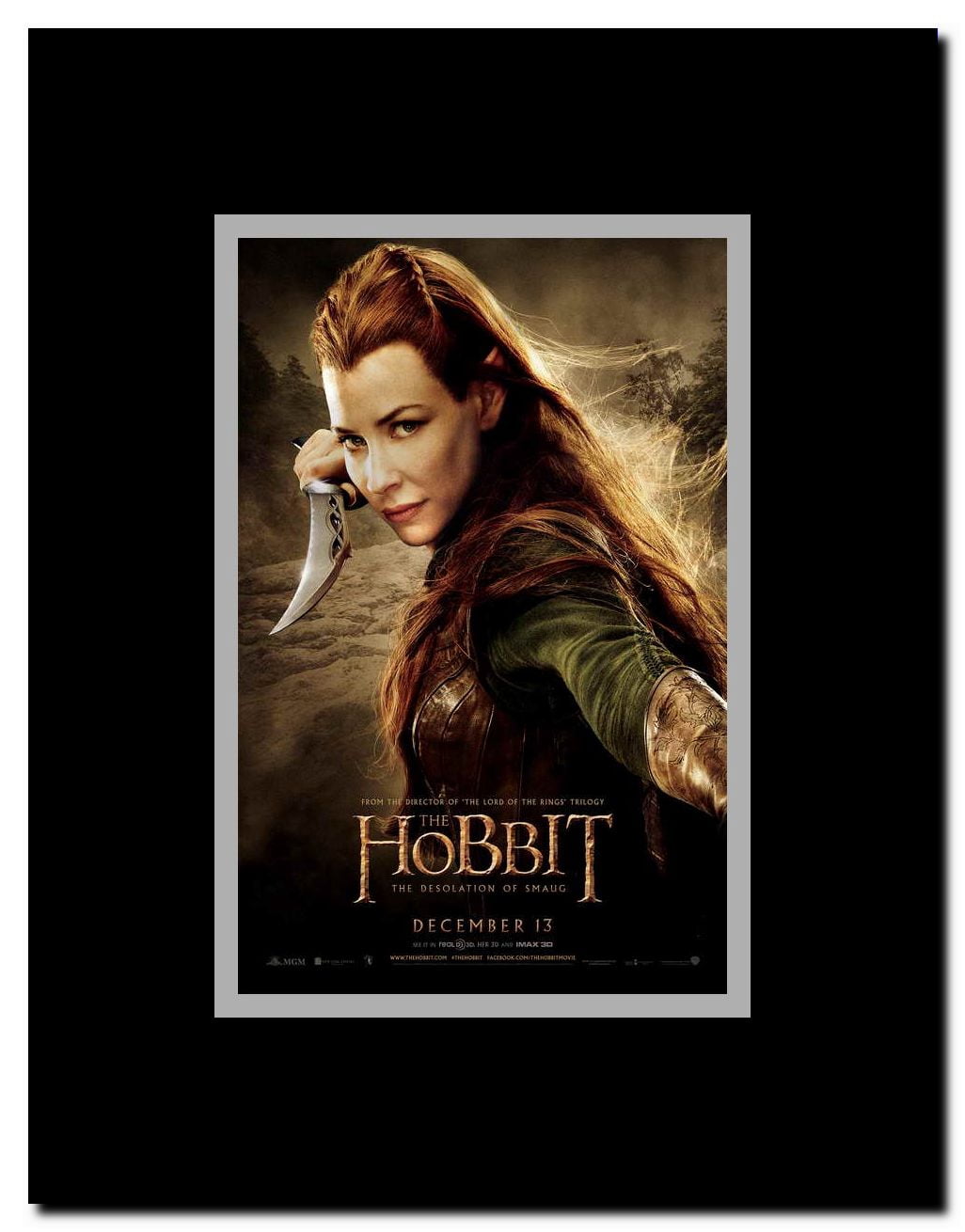 The Hobbit: The Desolation of Smaug Framed Movie Poster