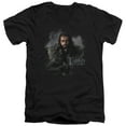 thumbnail image 1 of The Hobbit - Thorin Oakenshield - Slim Fit V Neck Shirt - Small, 1 of 2
