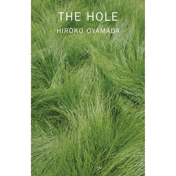 Pre-Owned The Hole (Paperback) 0811228878 9780811228879