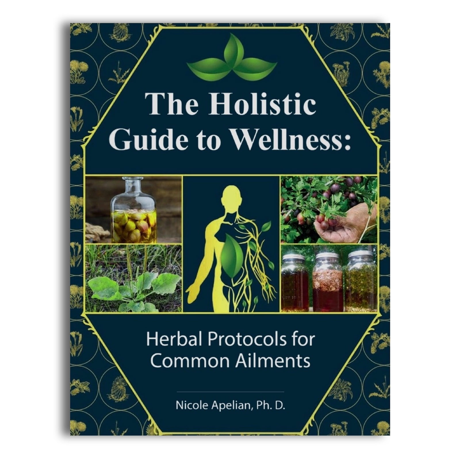 The Holistic Guide to Wellness Book The Lost Book of Herbal Remedies