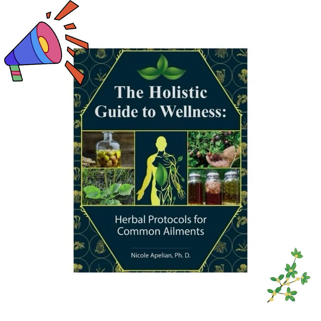 The Holistic Guide to WellnessHerbal Protocols for Common Ailments45