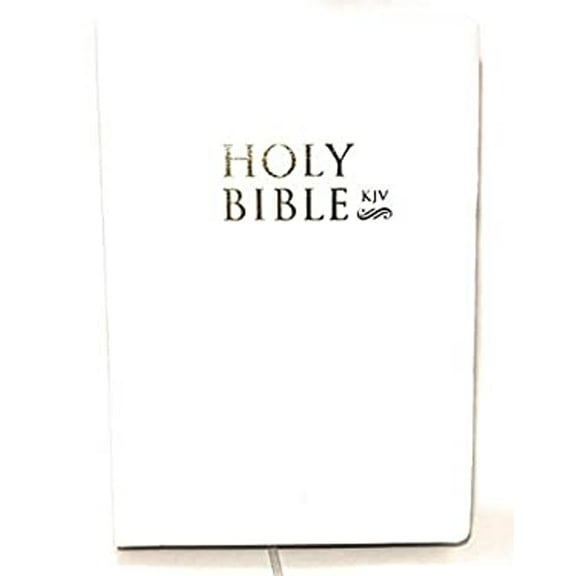 Pre-Owned The Holy Bible : Containing the Old and New Testaments (Paperback) 9780999804902