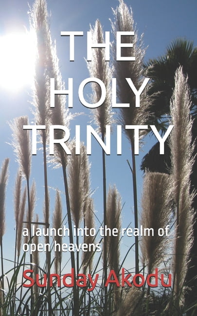 The Holy Trinity: a launch into the realm of open heavens, (Paperback)