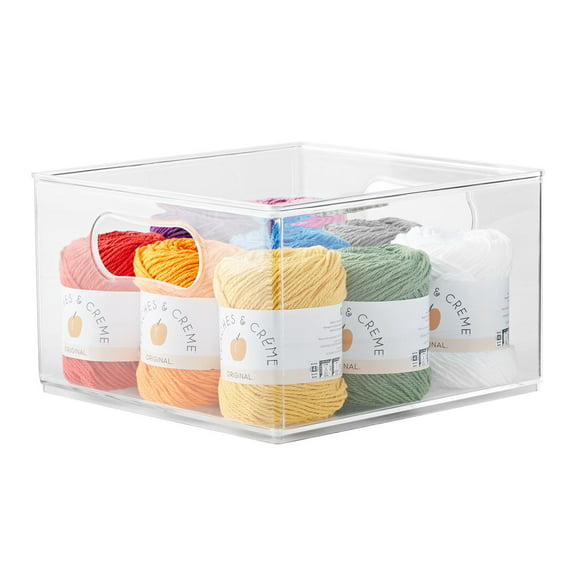 The Home Edit Clear Plastic Large Storage Bin