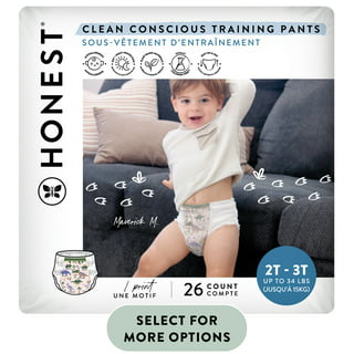 https://i5.walmartimages.com/seo/The-Honest-Company-Training-Pants-Size-2T-3T-26-Count-Select-for-More-Options_379352d4-6a25-40b0-893c-7f81f1e5832f.ff483d78f2b7beed28ce2e43890a8125.jpeg?odnHeight=320&odnWidth=320&odnBg=FFFFFF