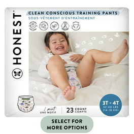 Huggies Pull-Ups Training Pants for Boys 4T-5T 38-50 Pounds (102 Count)