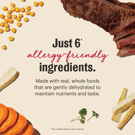 The Honest Kitchen Wholemade 6 Ingredient Grain Free Beef Recipe, Human Grade Dehydrated Dog Food, Allergy Friendly, Digestion Support, Topper for Dry or Wet Dog Food, 10 lb Box Makes 40 lbs