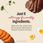 The Honest Kitchen Wholemade 6 Ingredient Grain Free Duck Recipe, Human Grade Dehydrated Dog Food, Allergy Friendly, Digestion Support, Topper for Dry or Wet Dog Food, 10 lb Box Makes 40 lbs