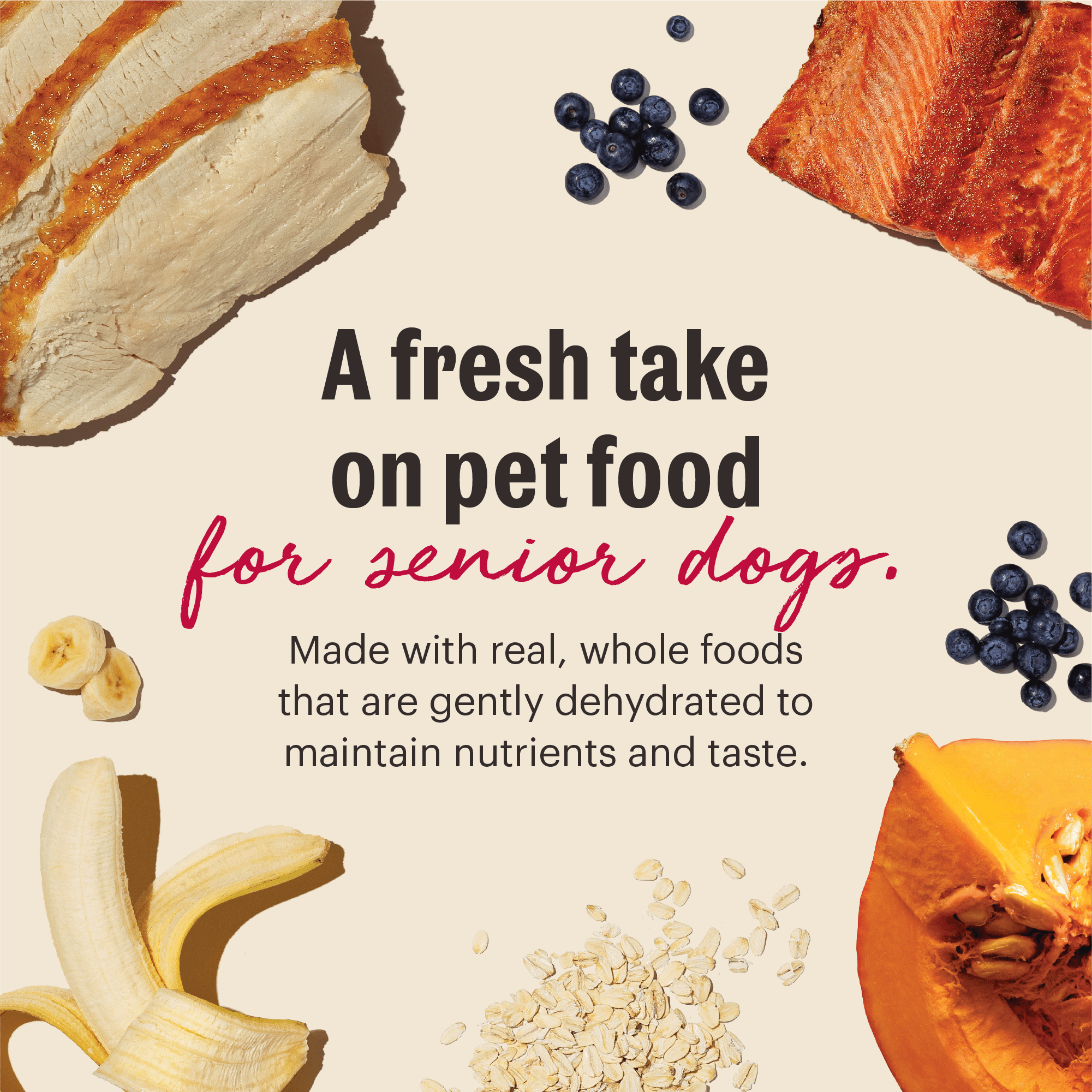 The Honest Kitchen Wholemade Whole Grain Senior Dog Food, Chicken, Oat & Salmon Recipe, Human Grade Dehydrated Dog Food, Overall Health Support for Senior Dogs, Just Add Water, 2 lb Bag Makes 8 lbs