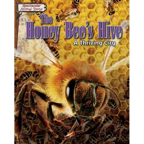 Pre-Owned The Honey Bee's Hive: A Thriving City (Library Binding) 159716867X 9781597168670