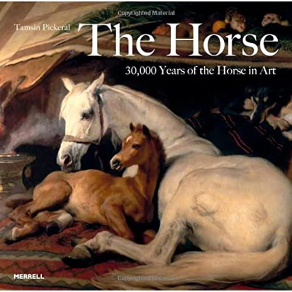 Pre-Owned The Horse: 30,000 Years of the Horse in Art (Paperback) 1858944937 9781858944937