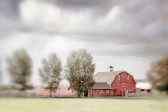The Horse Barn Canvas Art - Roberta Murray (24 x 36)
