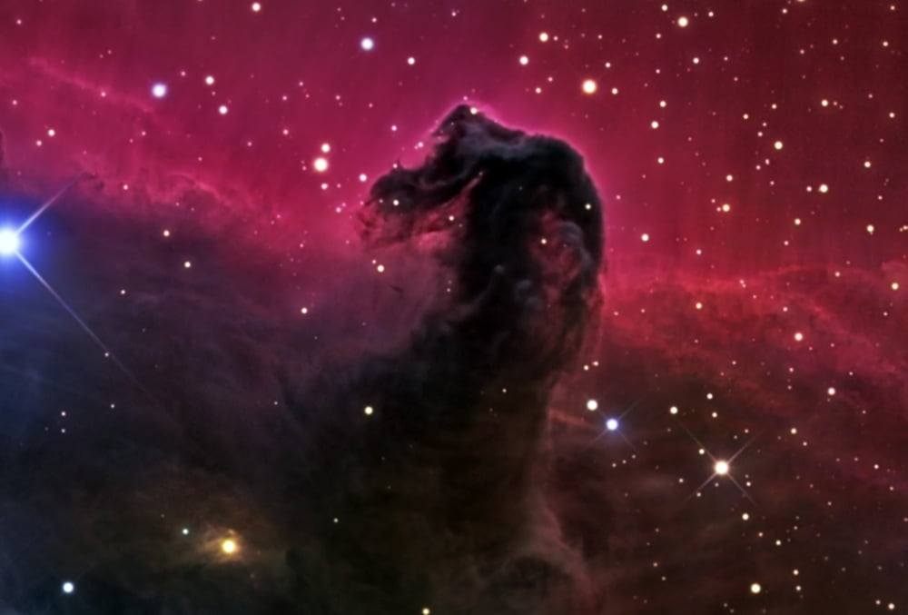 The Horsehead Nebula Canvas Art - R Jay GaBanyStocktrek Images (34 x 23)