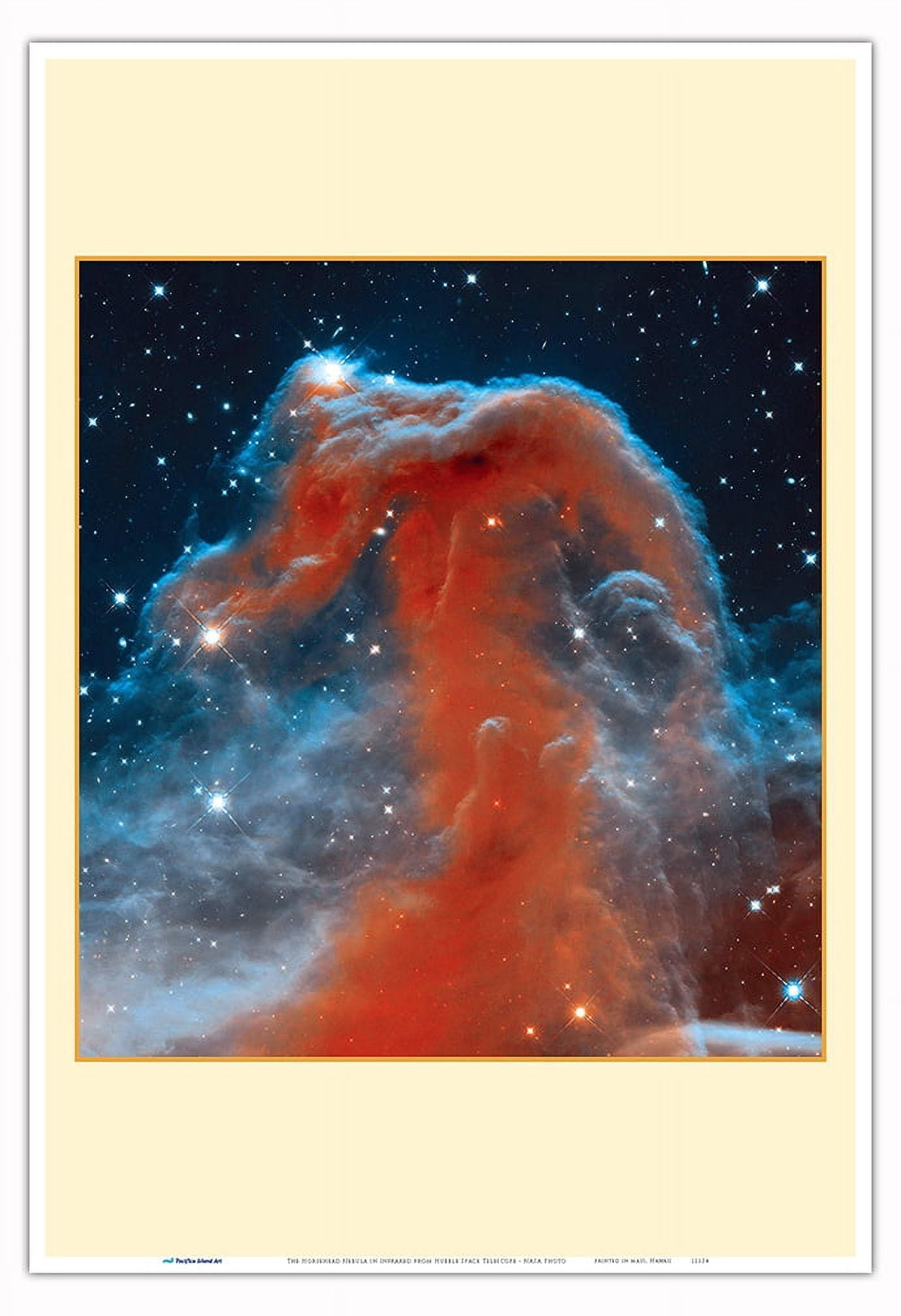 The Horsehead Nebula in Infrared from Hubble Space Telescope - NASA ...