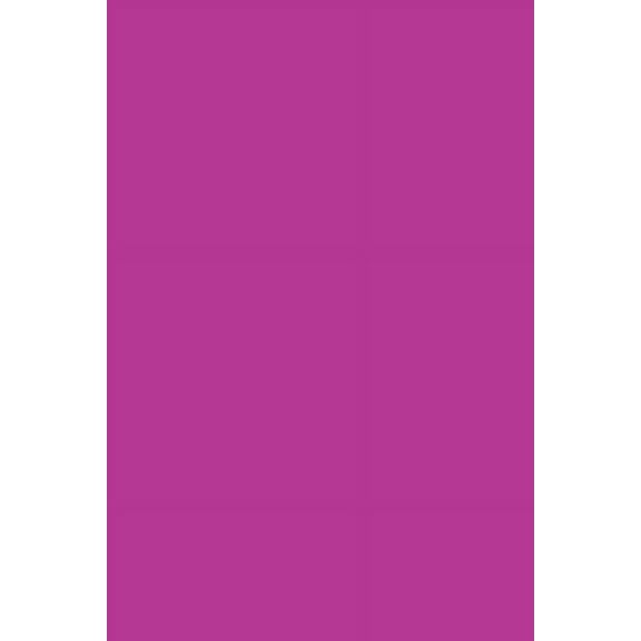 The Host, (Paperback)