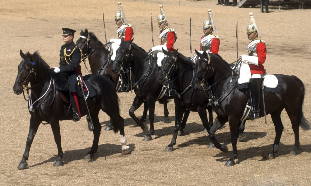 The Household Cavalry performs ceremonial drills Canvas Art - Andrew ChittockStocktrek Images (18 x 11)