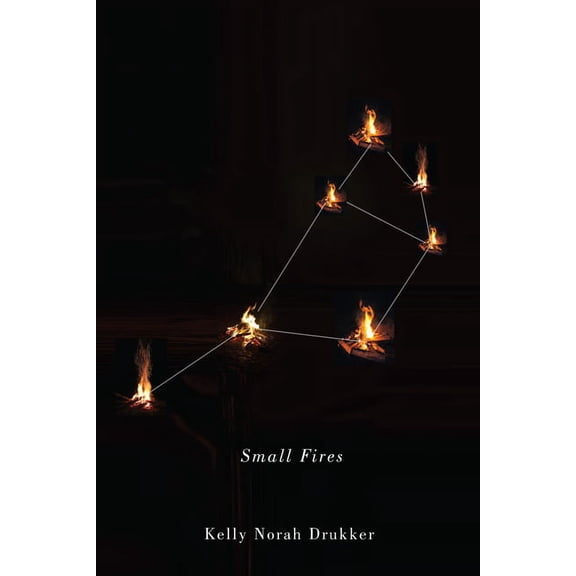The Hugh MacLennan Poetry Series: Small Fires (Series #36) (Paperback)