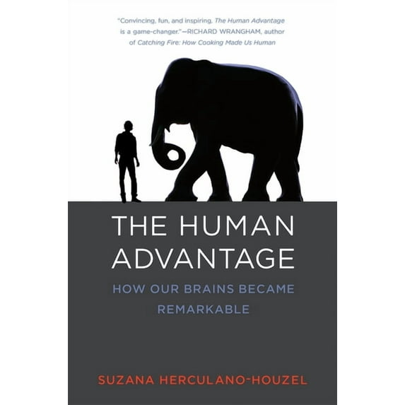 The Human Advantage: How Our Brains Became Remarkable, (Paperback)