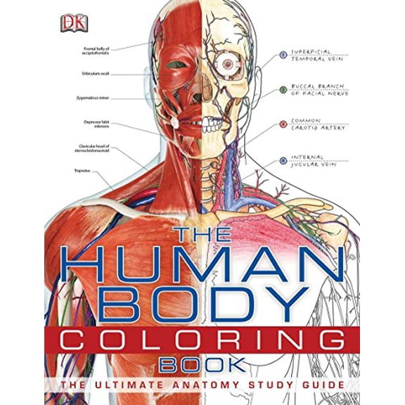 Pre-Owned The Human Body Coloring Book: The Ultimate Anatomy Study Guide (Spiral Bound)