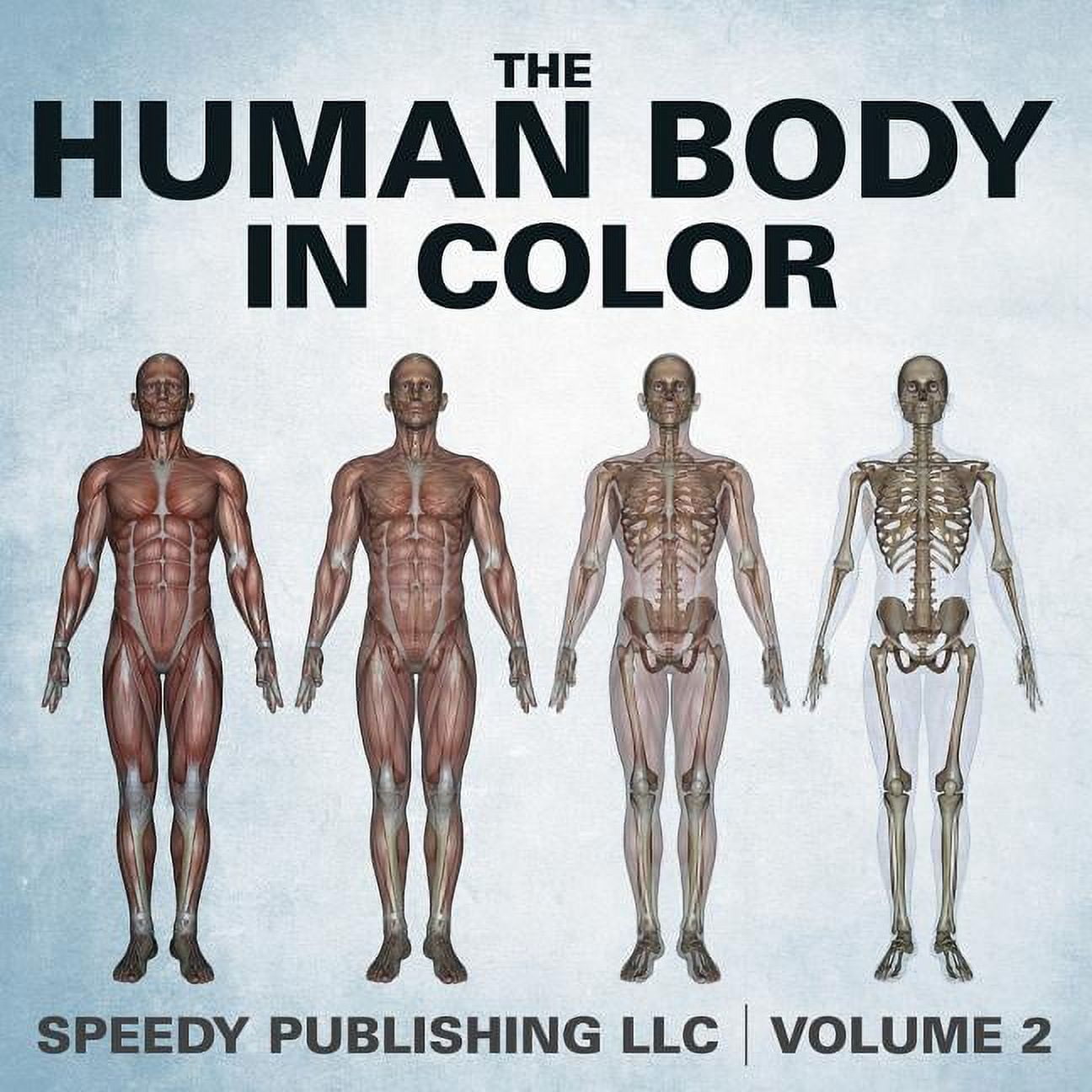 The Human Body In Color Volume 2, (Paperback) - Walmart.com