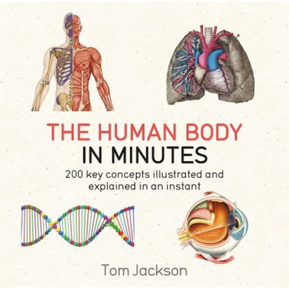 Pre-Owned The Human Body in Minutes : 200 Key Concepts Illustrated and Explained in an Instant (Paperback) 9781786481238