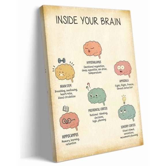 The Human Brain Anatomy Poster Brain Functions Mental Health Wall Art Therapy Posters Artwork for Bedroom Prints on Canvas Bathroom