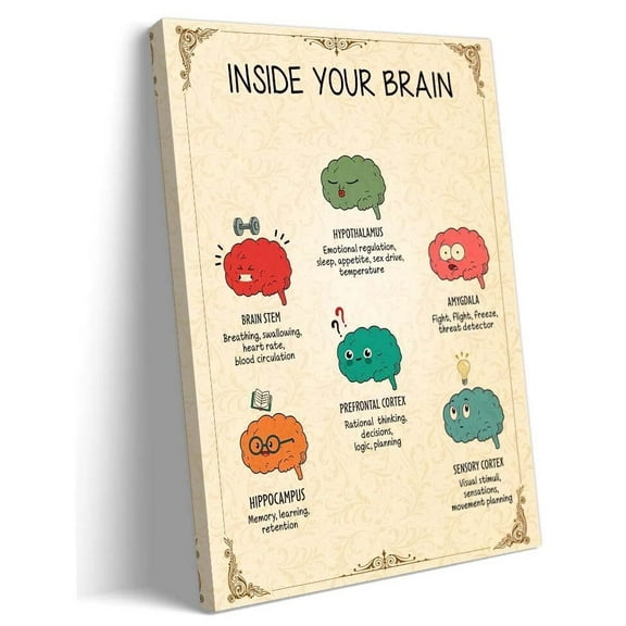 The Human Brain Anatomy Posters Prints Brain Functions Poster Mental Health Posters Art Pictures Canvases for Bedroom Walls Pictures for Kitchen