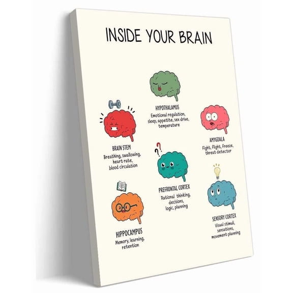 The Human Brain Anatomy Wall Art Brain Functions Poster Mental Health Wall Decor Hallway Print for Bedroom Vertical Artwork poster