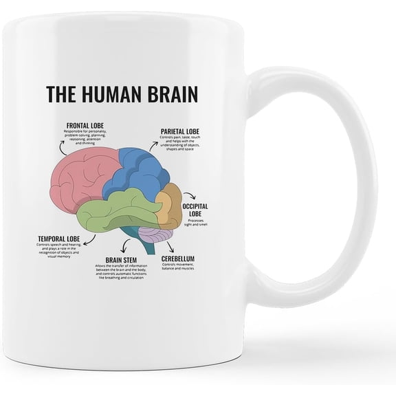 The Human Brain Mental Health CBT Ceramic Mug-11oz Coffee Milk Tea Mug Cup with Handle,Mental Health Awareness Gifts