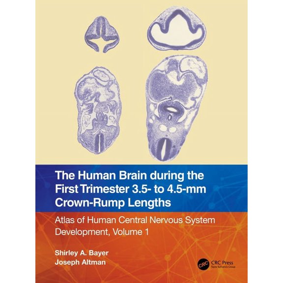 The Human Brain During the First Trimester 3.5- To 4.5-MM Crown-Rump Lengths: Atlas of Human Central Nervous System Deve, (Paperback)