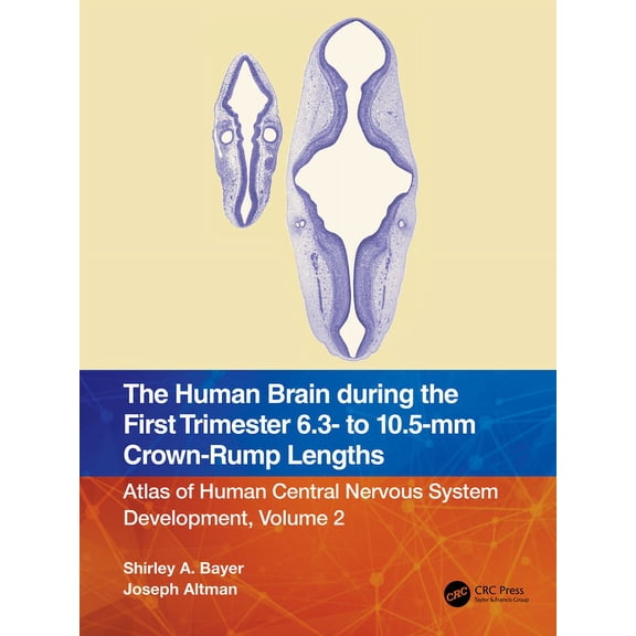 The Human Brain During the First Trimester 6.3- To 10.5-MM Crown-Rump Lengths: Atlas of Human Central Nervous System Dev, (Paperback)