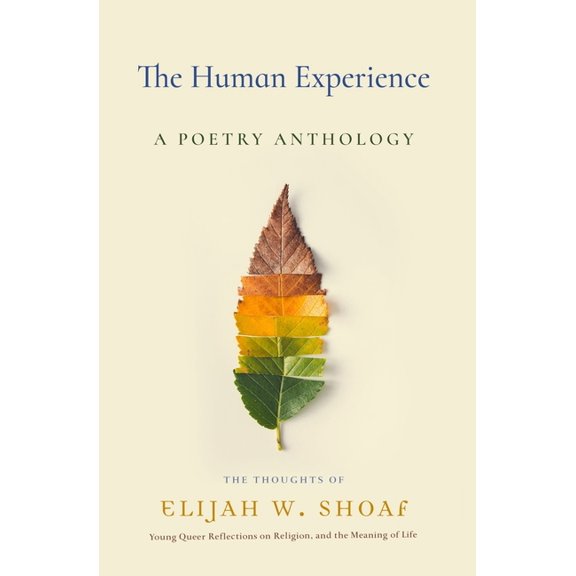 The Human Experience (Paperback)
