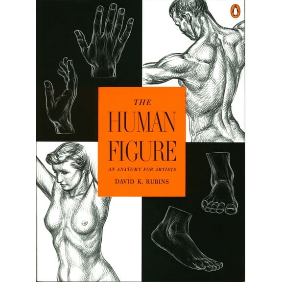 The Human Figure: An Anatomy for Artists, (Paperback)