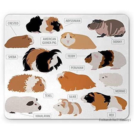Guinea Pig Mse Pad, Infohic Design Ifin For pes Of Rodent Breeds, Recle Non-S Rubber Msepad, Standard Size, Brown Ginr