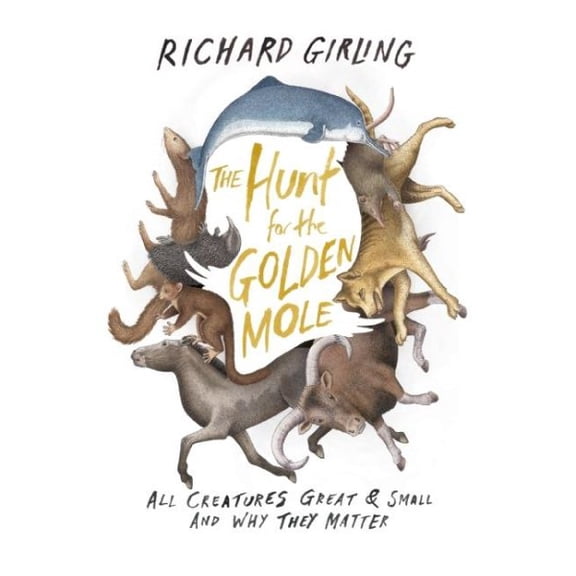 The Hunt for the Golden Mole