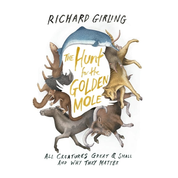 The Hunt for the Golden Mole : All Creatures Great & Small and Why They Matter (Paperback)