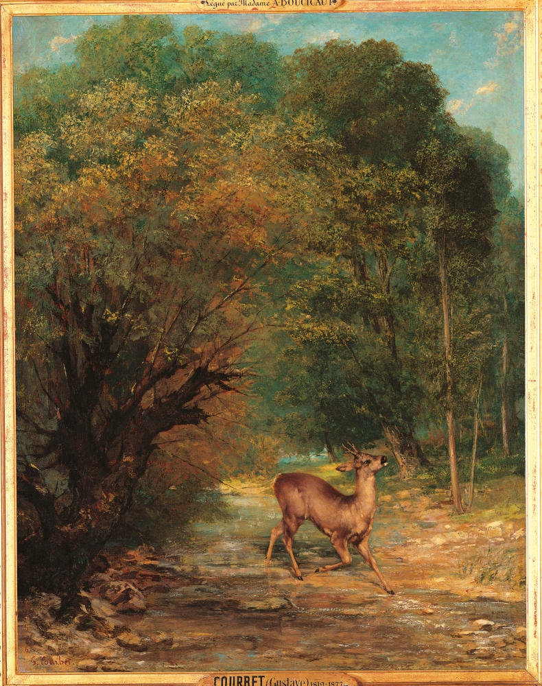 The Hunted Roe Deer On The Alert Canvas Art - (24 x 36)