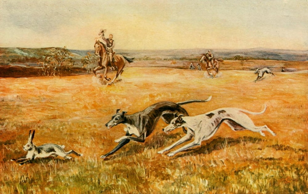 The Hunting Field 1910 Almost Canvas Art - Julian Ingersoll Chamberlain (18 x 24)