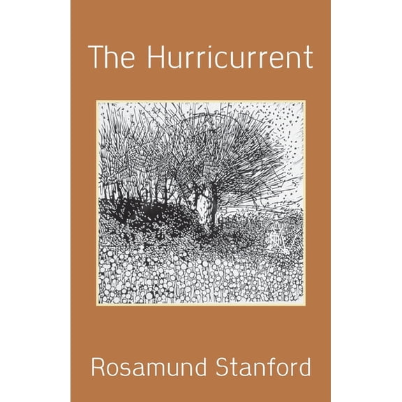 The Hurricurrent, (Paperback)