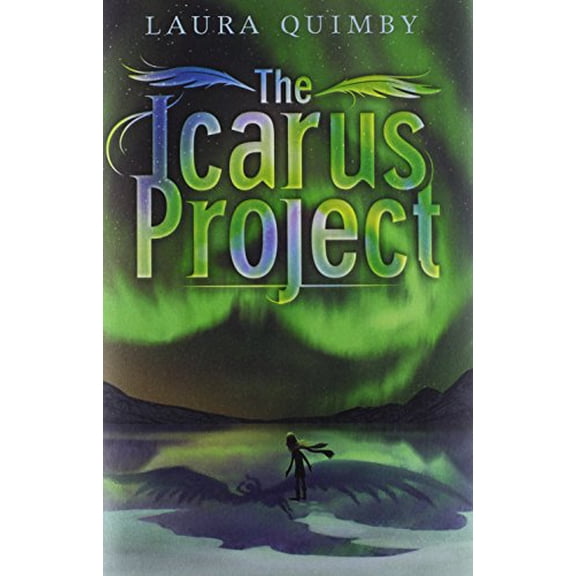 Pre-Owned The Icarus Project (Hardcover) 1419704028 9781419704024