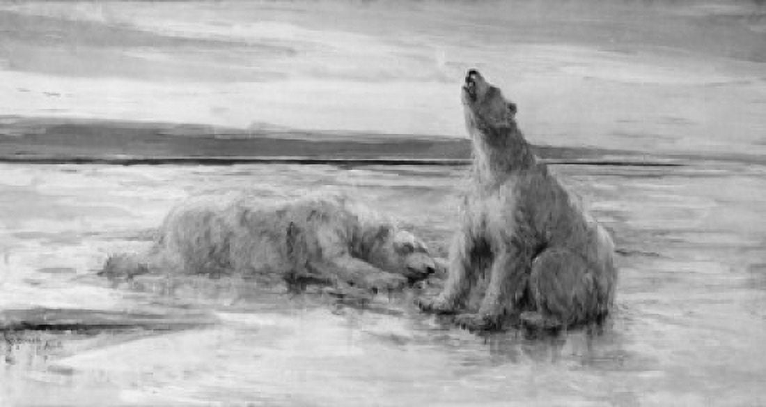 The Ice Bear by Fred Church Canvas Art - Fred Church (18 x 24)