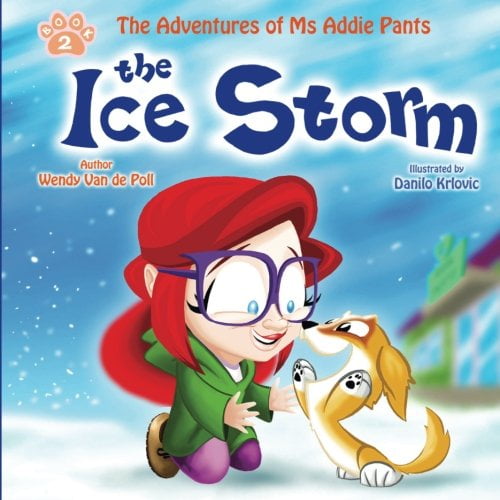 Pre-Owned The Ice Storm (Paperback) 0999016369 9780999016367