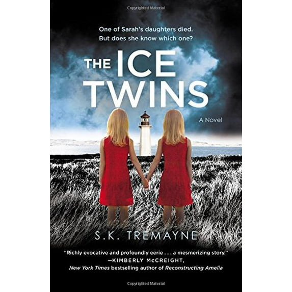 Pre-Owned Ice Twins (Paperback) 1455586064 9781455586066