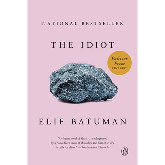 Pre-Owned The Idiot: A Novel Paperback